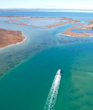 巨型海豚觀光遊船之旅