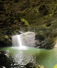 從布里斯班出發，前往天然橋、坦伯林山觀賞螢火蟲和熱帶雨林