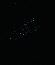 尖峯石陣日落觀星之旅（含BBQ晚餐）