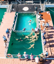 水平瀑布（Horizontal Falls）& 丹皮爾半島（Dampier Peninsula）一日遊