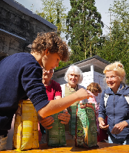 蘇黎世最不為人知的秘密：蘑菇的隱藏世界！