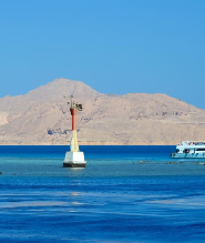 蒂蘭島半日浮潛與珊瑚礁探險