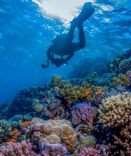 吉達水肺潛水體驗