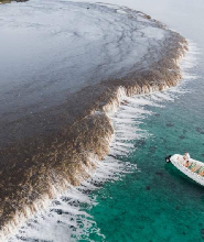 小天鵝灣瀑布暗礁探險之旅