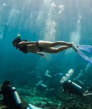 普吉島自由潛水課體驗