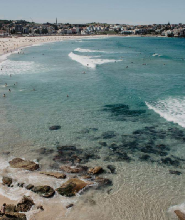 [組合行程] 雪梨早晨觀光與海港午餐遊船