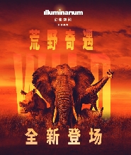 澳門永利皇宮Illuminarium幻影空間門票