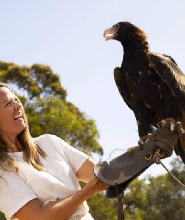 阿得雷德袋鼠島 2 日國家公園之旅