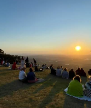 坦伯林山隨上隨下接駁巴士（布里斯班 / 黃金海岸出發）
