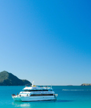 史蒂芬斯港海豚巡遊