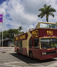 邁阿密Big Bus隨上隨下觀光巴士之旅（敞篷）