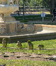巴塞隆納米拉之家和城堡公園半日私人自行車之旅