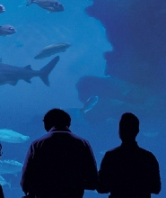 馬略卡島帕爾馬水族館門票