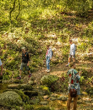 梅特歐拉健行之旅，含卡蘭巴卡或卡斯特拉奇出發的修道院參觀行程