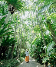 東南植物樂園門票