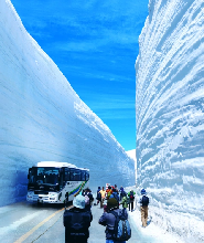 【長野出發】北海道秋季限定：立山黑部阿爾卑斯山脈路線一日遊