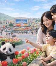 首爾愛寶樂園主題樂園50週年慶典體驗（含接送）