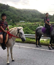 普吉島查龍風景騎馬冒險