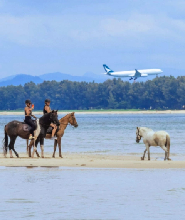 普吉島奈揚海灘騎馬探險