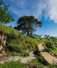 奧克蘭哈比村電影外景地全日私人之旅