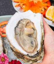King Seafood 海濱餐廳(芭達雅步行街)
