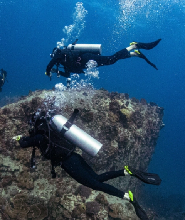 龜島開放水域課程體驗