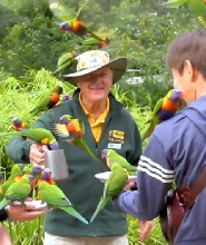 黃金海岸可倫賓野生動物保護區 & 拜倫灣一日遊