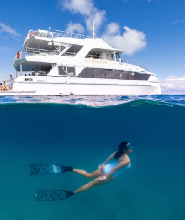 摩頓島與天閣露瑪沉船浮潛之旅