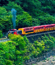嵐山小火車車票