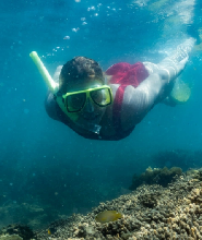 磁島生態浮潛探索之旅