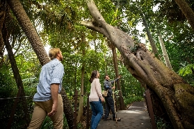 Royal Botanic Gardens Melbourne & Aboriginal Heritage Walking Tour Ticket