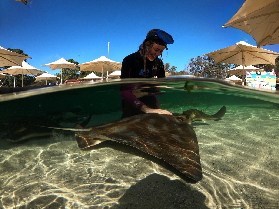 Irukandji Shark & Ray Encounters 水族館門票