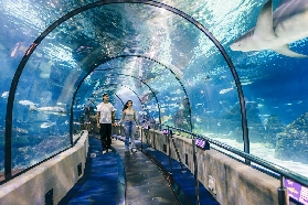 巴塞隆納水族館門票