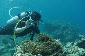 馬尼拉出發阿尼洛潛水之旅