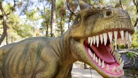Antalya Dinosaur Park Ticket