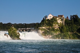 Half-Day Tour of Rhine Falls and Laufen Castle