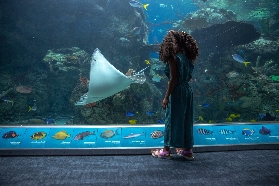 加州太平洋水族館門票