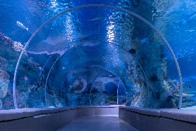 伊斯坦布爾 Emaar 水族館 & 水下動物園門票