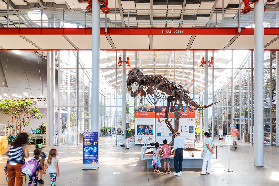 California Academy of Sciences Ticket in San Francisco