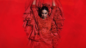 Barcelona Inspiracion Flamenco Show