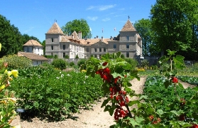 Swiss Château de Prangins Ticket