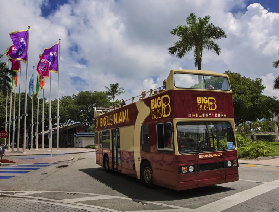 邁阿密Big Bus隨上隨下觀光巴士之旅（敞篷）