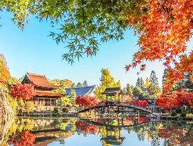 【名古屋出發】2026日本中部虎溪山永保寺&香嵐溪賞楓一日遊（粉色四季櫻+中文導遊）