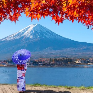 東京/新宿出發 | 富士山人氣打卡景點 富士山下網紅公園&日川時計店&羅森便利店&忍野八海＆大石公園一日遊