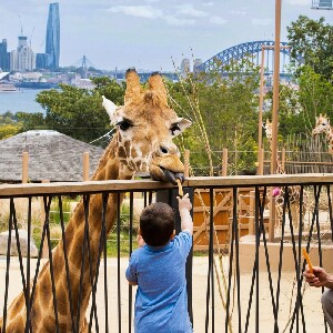 雪梨塔龍加動物園門票