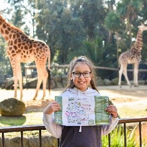 墨爾本動物園門票