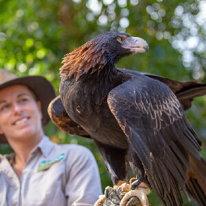 可倫賓野生動物保護區門票