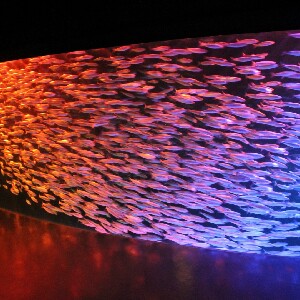 登別尼克斯海洋公園門票