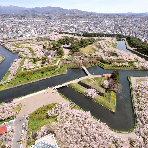 北海道五稜郭塔門票