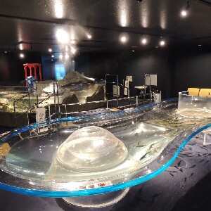 千歲水族館門票